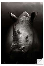 Wall sticker Rhino portrait