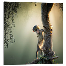 Galleriprint Baby baboon in tree