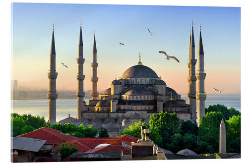 Acrylic print The blue mosque in Istanbul