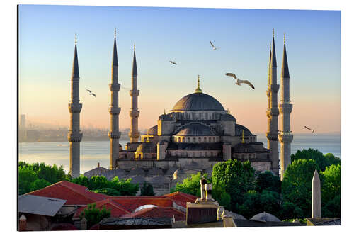 Aluminium print The blue mosque in Istanbul