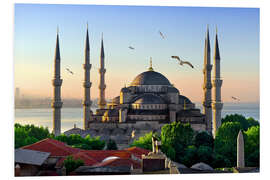 Foam board print The blue mosque in Istanbul