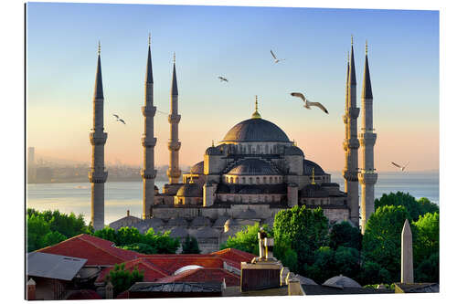 Gallery print The blue mosque in Istanbul