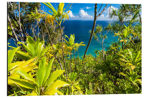 Aluminium print Kauai Hawaii Kalalau Trail