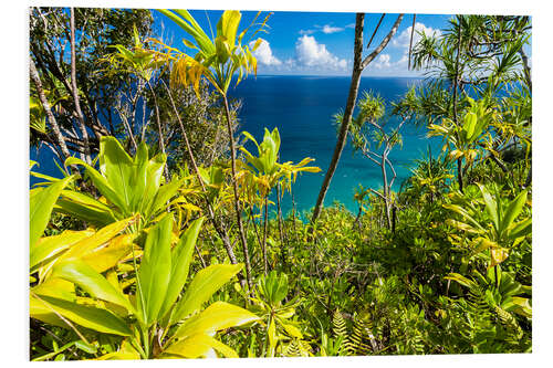 Foam board print Kauai Hawaii Kalalau Trail