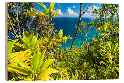 Wood print Kauai Hawaii Kalalau Trail