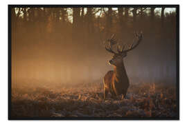 Gerahmter Kunstdruck Hirsch im Herbstsonnenaufgang