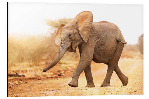 Alubild Fröhlicher Elefant, Südafrika