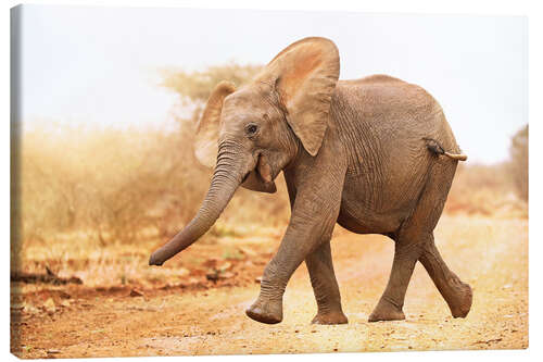Lærredsbillede Happy elephant, South Africa