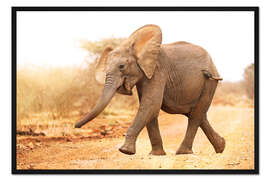 Gerahmter Kunstdruck Fröhlicher Elefant, Südafrika