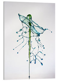 Gallery print Water drops Green fir-tree