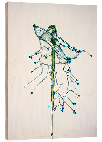 Wood print Water drops Green fir-tree