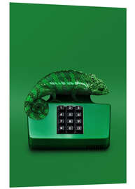 Hartschaumbild Chamelphone