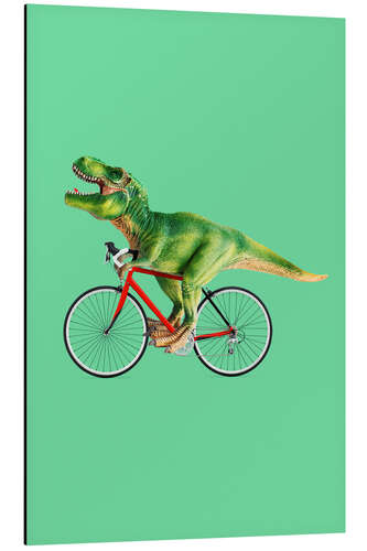 Alubild Bike T-Rex