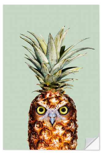 Sisustustarra Pineappowl I