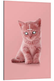 Magnettafel Lucipurr