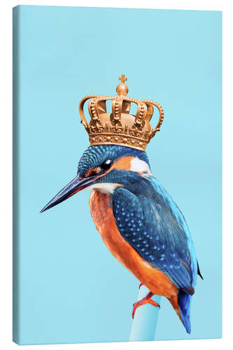 Canvas print KINGFISHER