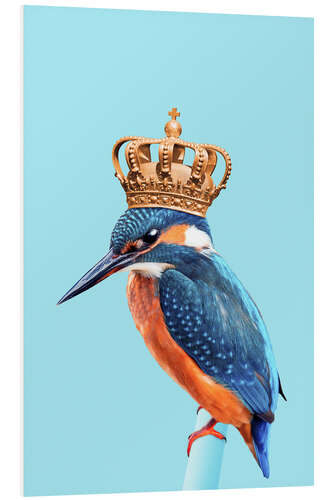 PVC print KINGFISHER