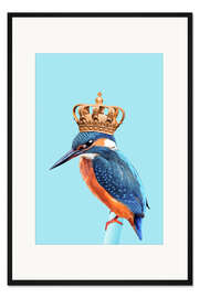 Gerahmter Kunstdruck Kingfisher