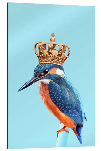 Gallery print KINGFISHER