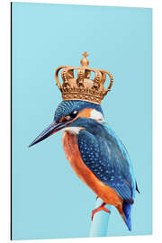 Magnettafel Kingfisher