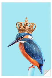 Wandsticker Kingfisher