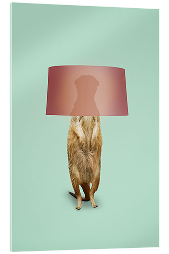 Akrylglastavla MEERKAT LAMP