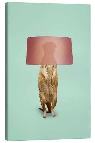 Obraz na płótnie Meerkat Lamp