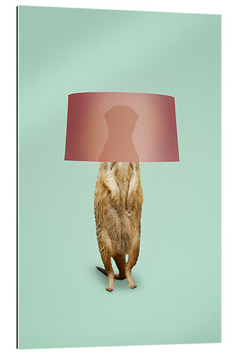 Quadro em plexi-alumínio MEERKAT LAMP