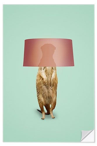 Wall sticker MEERKAT LAMP