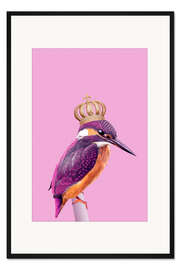 Gerahmter Kunstdruck Queenfisher