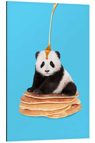 Quadro em alumínio PANCAKE PANDA