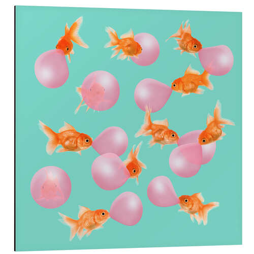 Cuadro de aluminio BUBBLEGUM GOLDFISH
