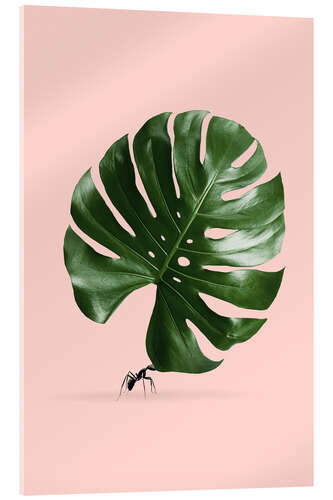 Akrylbilde Monstera Ant