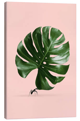 Leinwandbild Ameise und Monstera