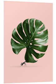 Foam board print MONSTERA ANT