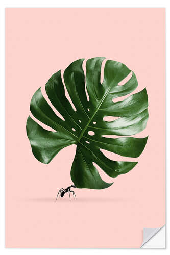 Sticker mural Fourmi et monstera