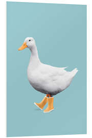 Foam board print DUCK