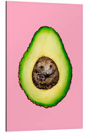 Magnettafel Hedgehocado