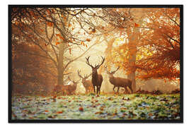 Gerahmter Kunstdruck Rotwild in einem Herbstwald im Nebel
