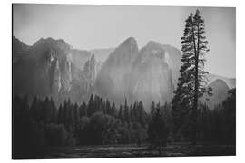 Stampa su alluminio In the Yosemite valley