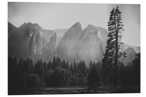 Print på skumplade In the Yosemite valley