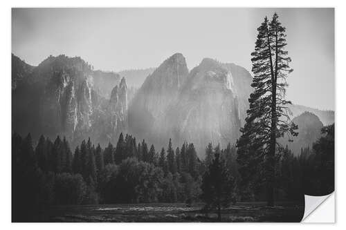 Vinilo para la pared In the Yosemite valley