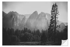 Vinilo para la pared In the Yosemite valley