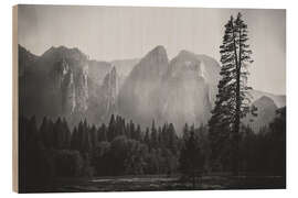 Holzbild Im Yosemite Tal