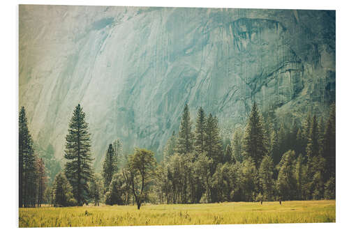 PVC-tavla Yosemite Valley