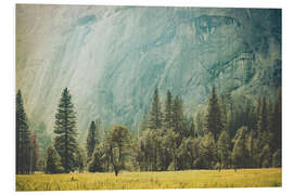 Foam board print Yosemite Valley