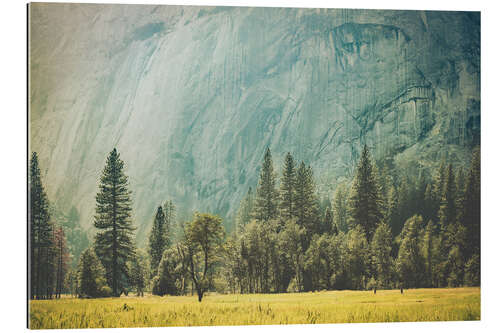 Tableau en plexi-alu Yosemite Valley