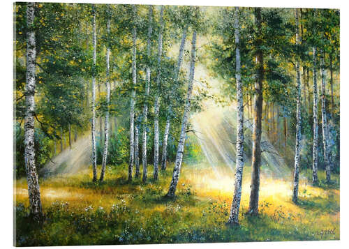 Akrylbilde Sunlight in the green forest