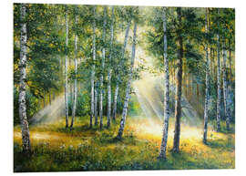 Foam board print Sunlight in the green forest