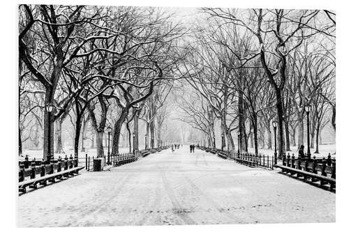 Foam board print Central Park Snowstorm (Monochrome)